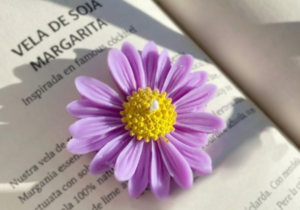 vela de soja margarita
